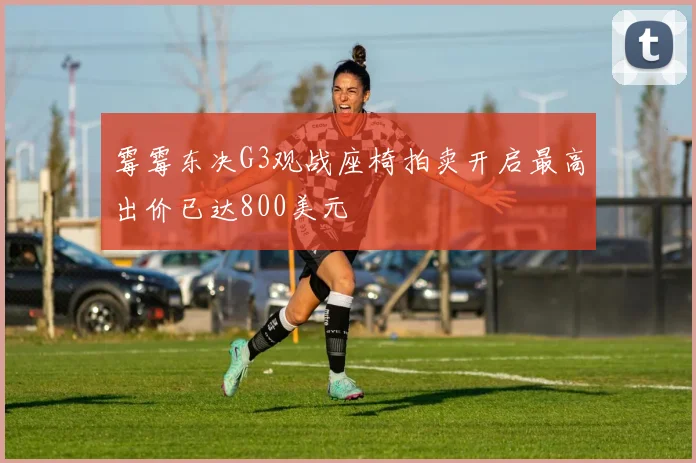 霉霉东决G3观战座椅拍卖开启最高出价已达800美元