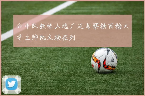 公牛队教练人选广泛考察杨百翰大学主帅凯文杨在列