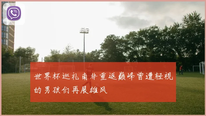 世界杯巡礼南非重返巅峰曾遭轻视的男孩们再展雄风